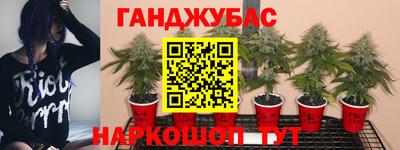 кокс Малгобек