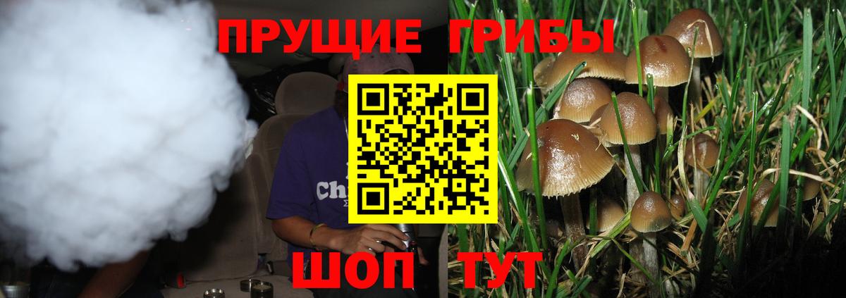 Галлюциногенные грибы Psilocybine cubensis  Вход с VPN  Елизово 