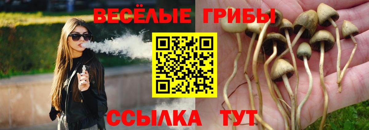 Псилоцибиновые грибы Cubensis Елизово