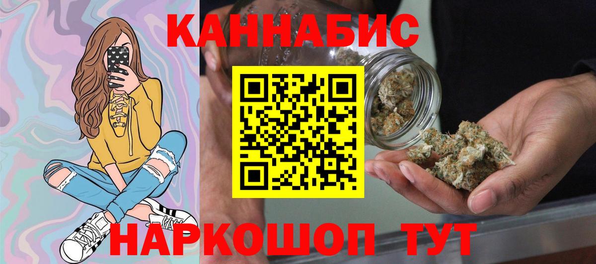 Бошки Шишки план Елизово