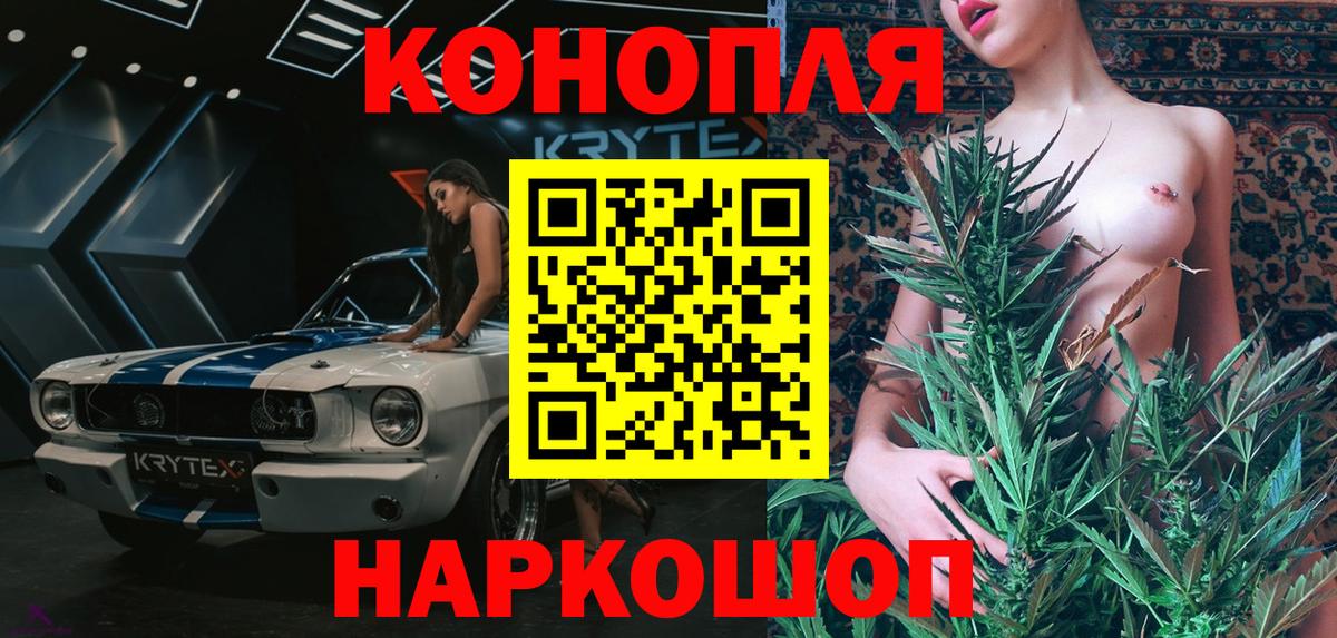 Елизово  Бошки Шишки ГИДРОПОН  Вход с VPN  Бошки Шишки ГИДРОПОН 